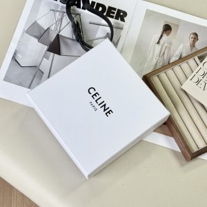 Celine hair accessories category image