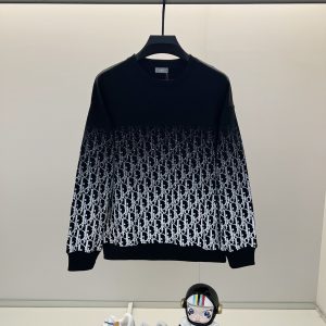 Aaa High Quality Dior Cotton Hoodies