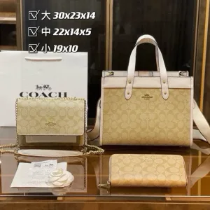 Coach Shoulder bag category image